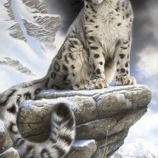 Схема вышивки «дикие»