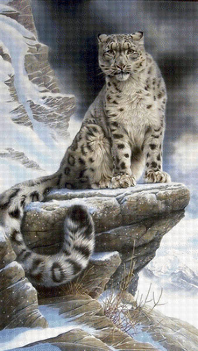 Ирбис - предпросмотр