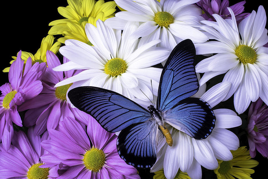 №2058177 - оригинал