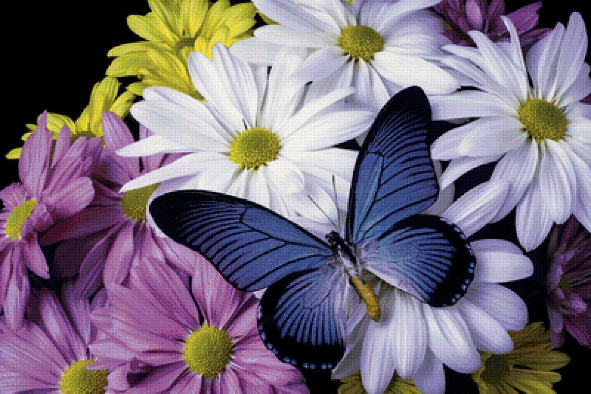 №2058177 - предпросмотр