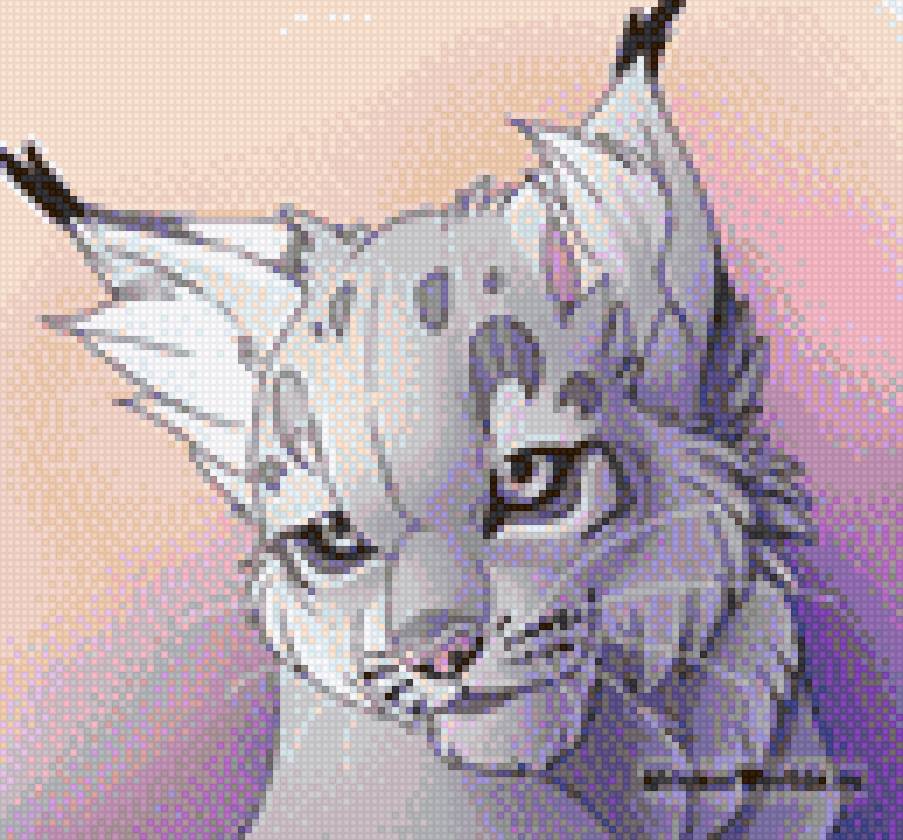 Рысь снежная - рысь - предпросмотр