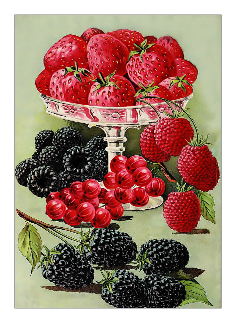 Ягодный натюрморт. - смородина, ягоды, малина, натюрморт, ежевика - оригинал