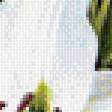 Предпросмотр схемы вышивки «белые лилии» (№2058632)