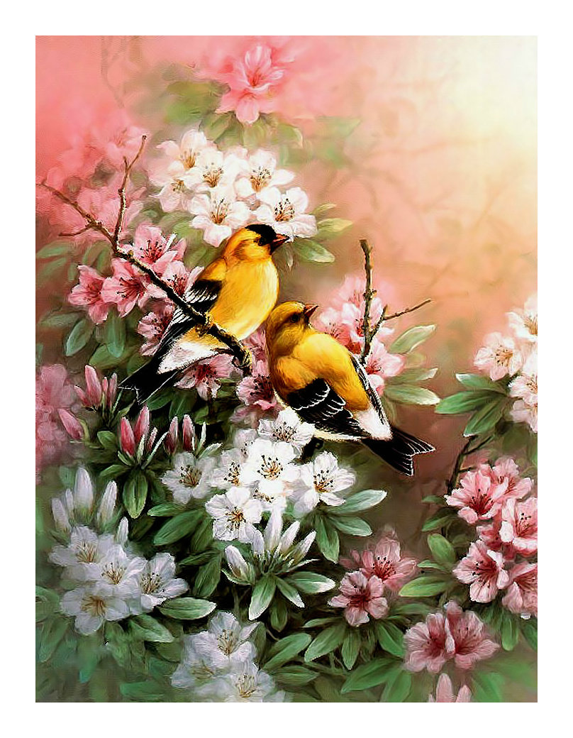 птицы - птицы, цветы, живопись - оригинал