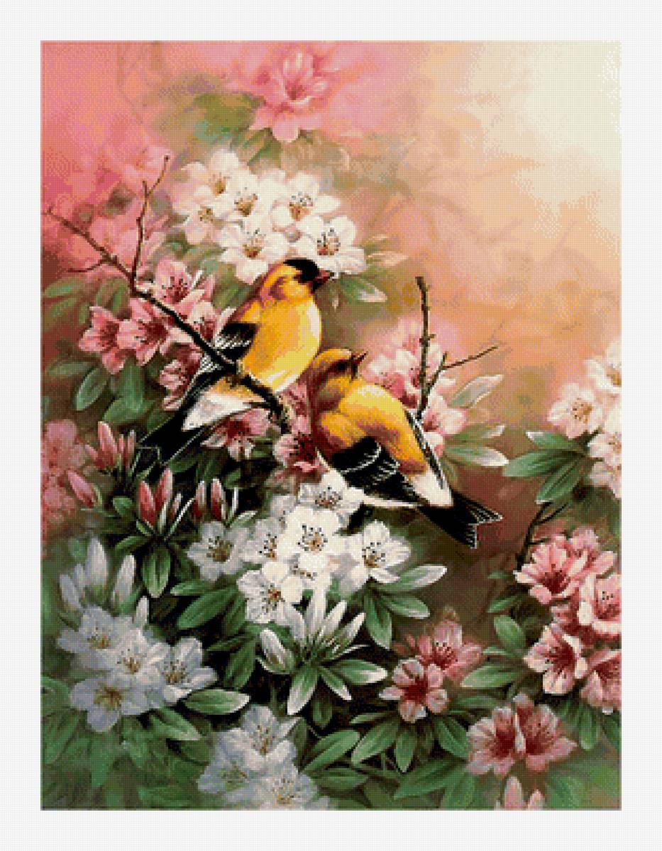 птицы - цветы, живопись, птицы - предпросмотр