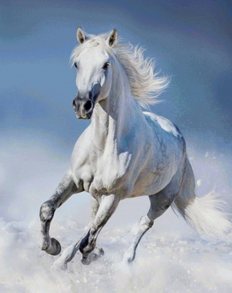 лошадь - предпросмотр