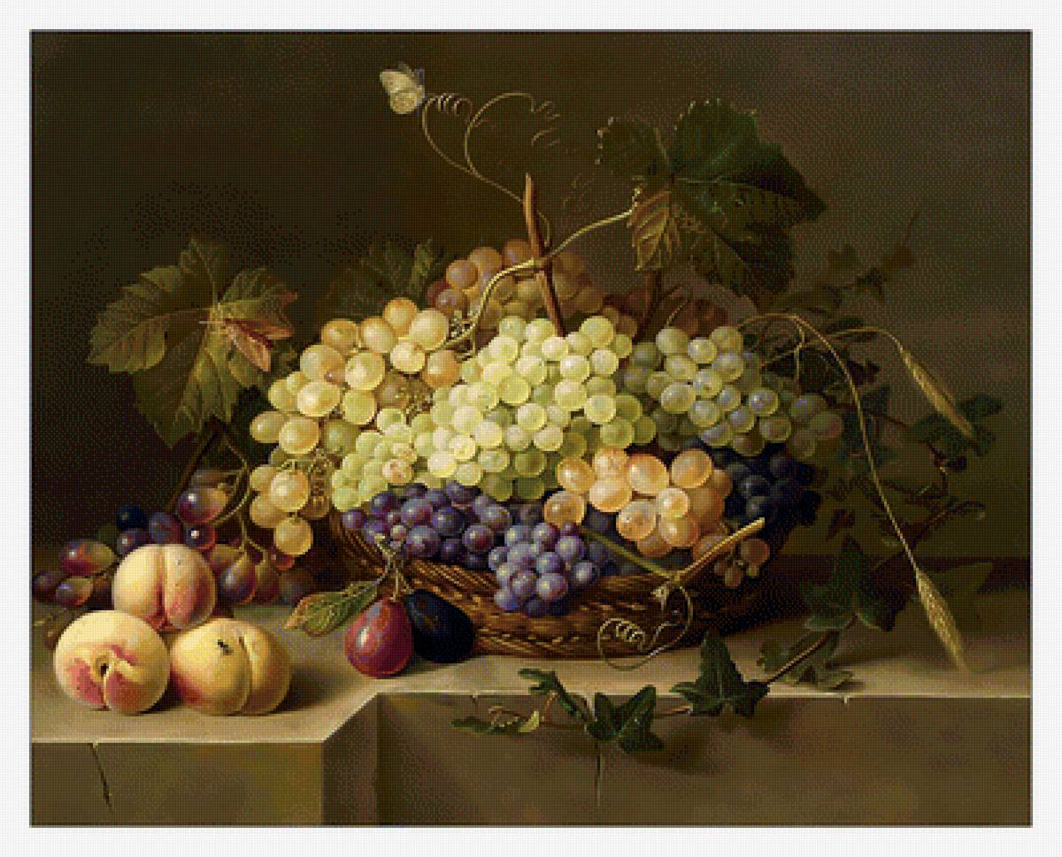 Натюрморт с виноградом. - ягоды, персики, натюрморт, фрукты, живопись, виноград - предпросмотр