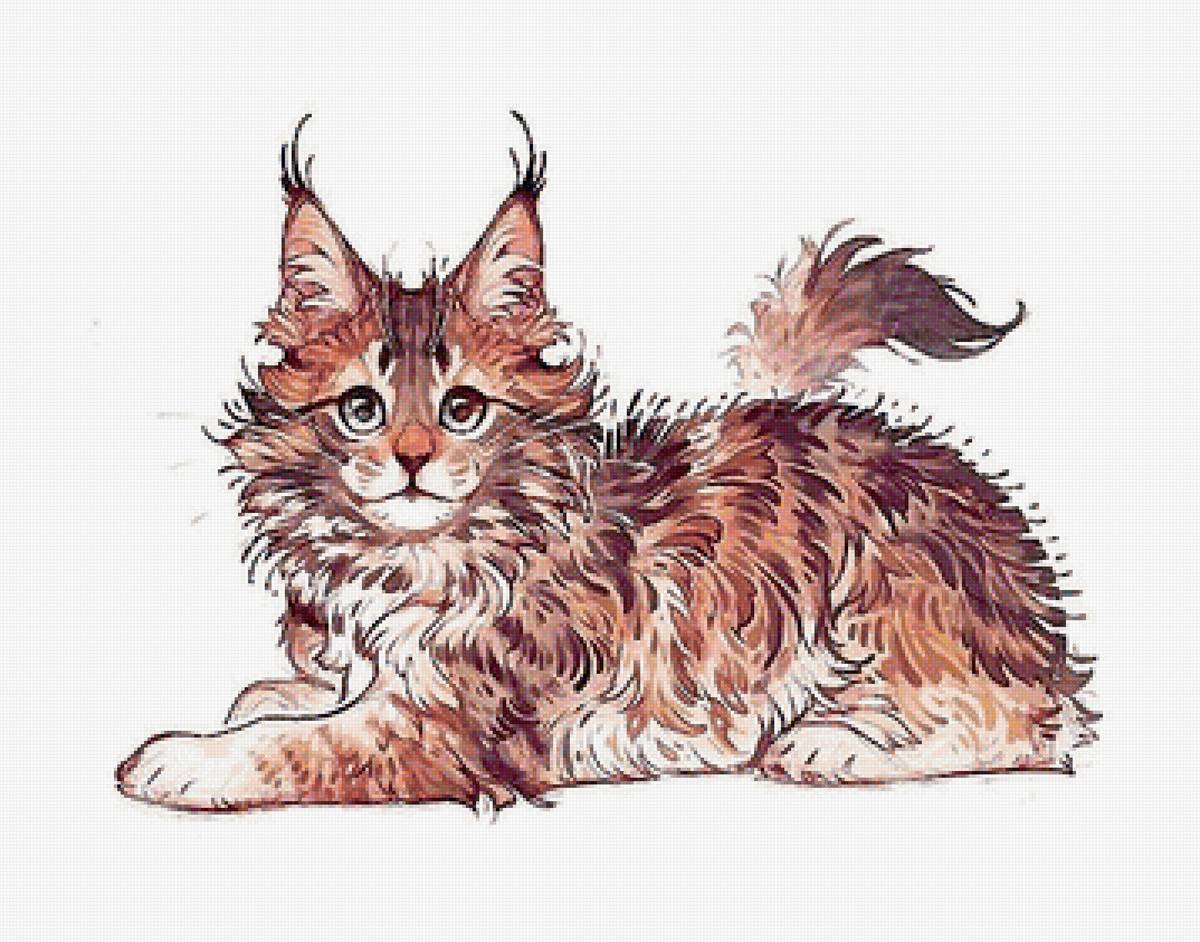 котик - предпросмотр