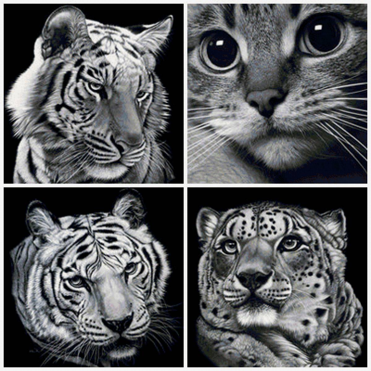 кошки - леопард, кот, тигр - предпросмотр