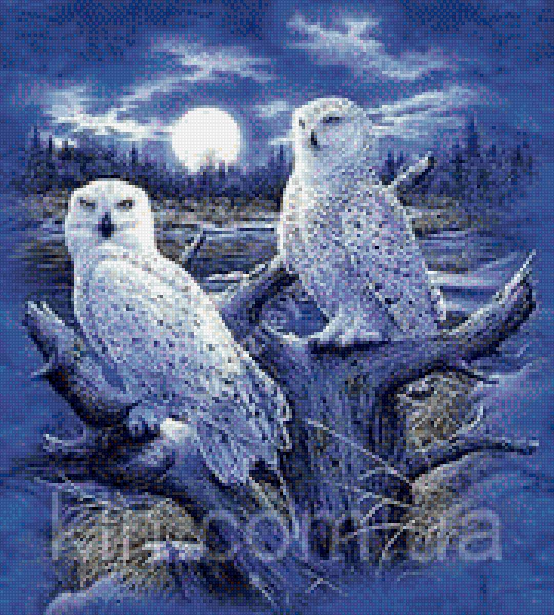 Полярные совы - сова, полярная, птица, природа, ночь, картина, пара - предпросмотр