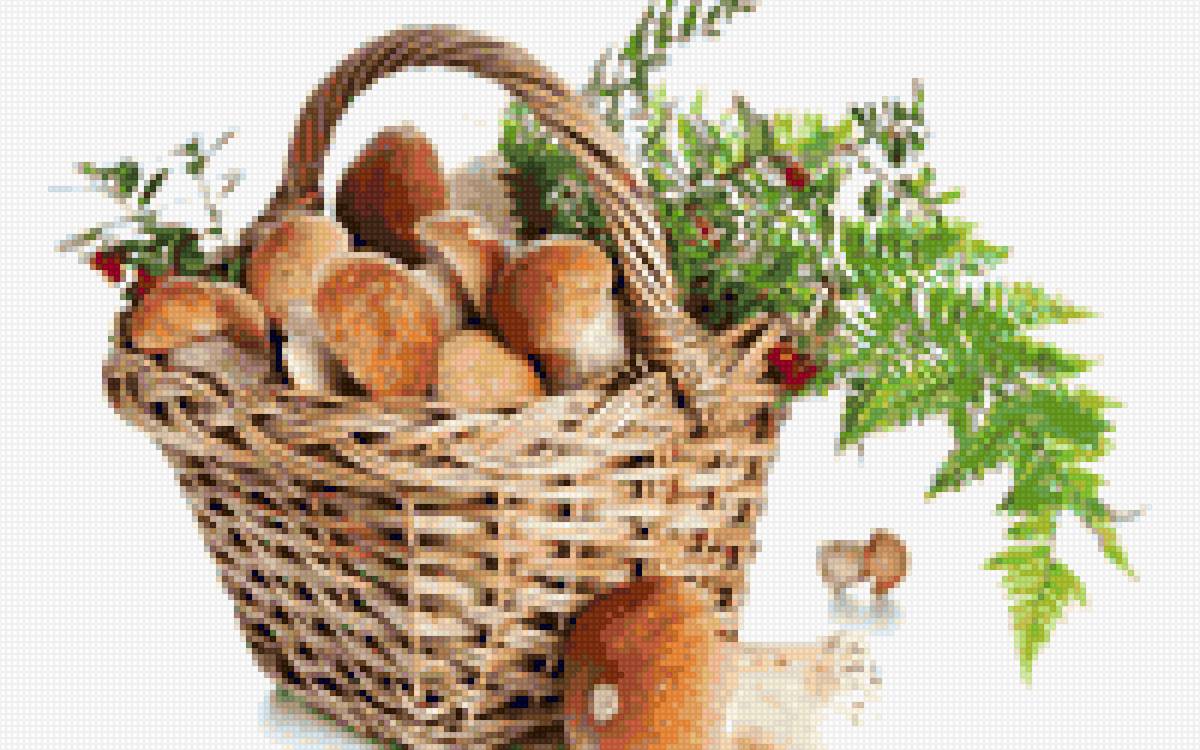 корзина с грибами - грибы - предпросмотр