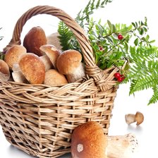 корзина с грибами