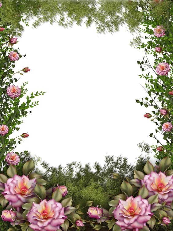 ШТОРА-1 - интерьер - оригинал