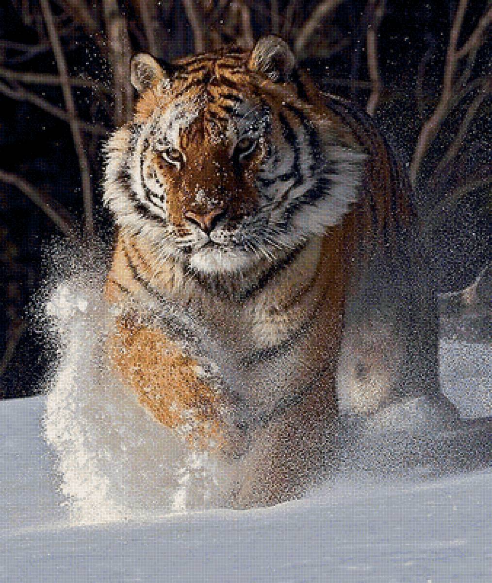 дикие - предпросмотр