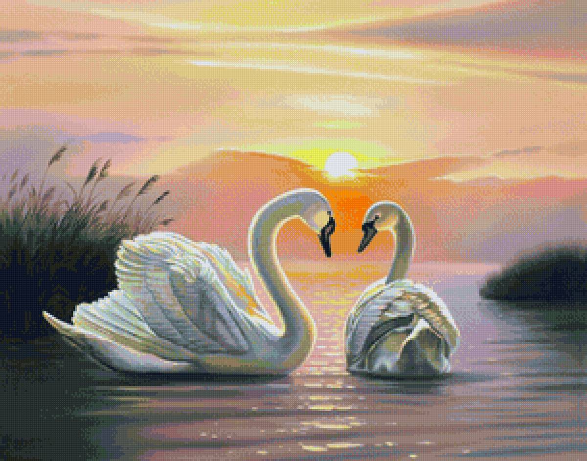 Лебединый разговор - река, природа, вечер, лебеди, птицы - предпросмотр