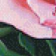 Предпросмотр схемы вышивки «Розы.» (№2060252)
