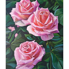 Схема вышивки «Розы.»