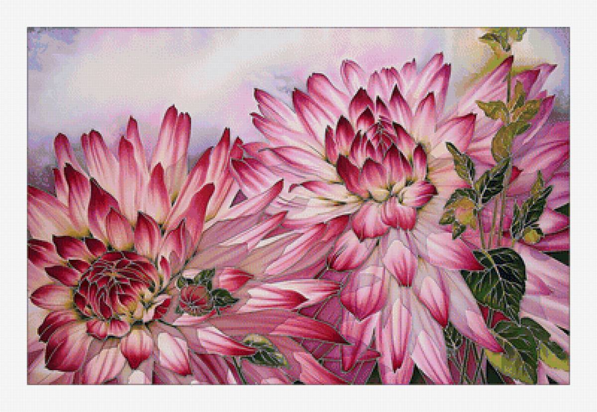 Георгины. - георгины, букет, цветы - предпросмотр