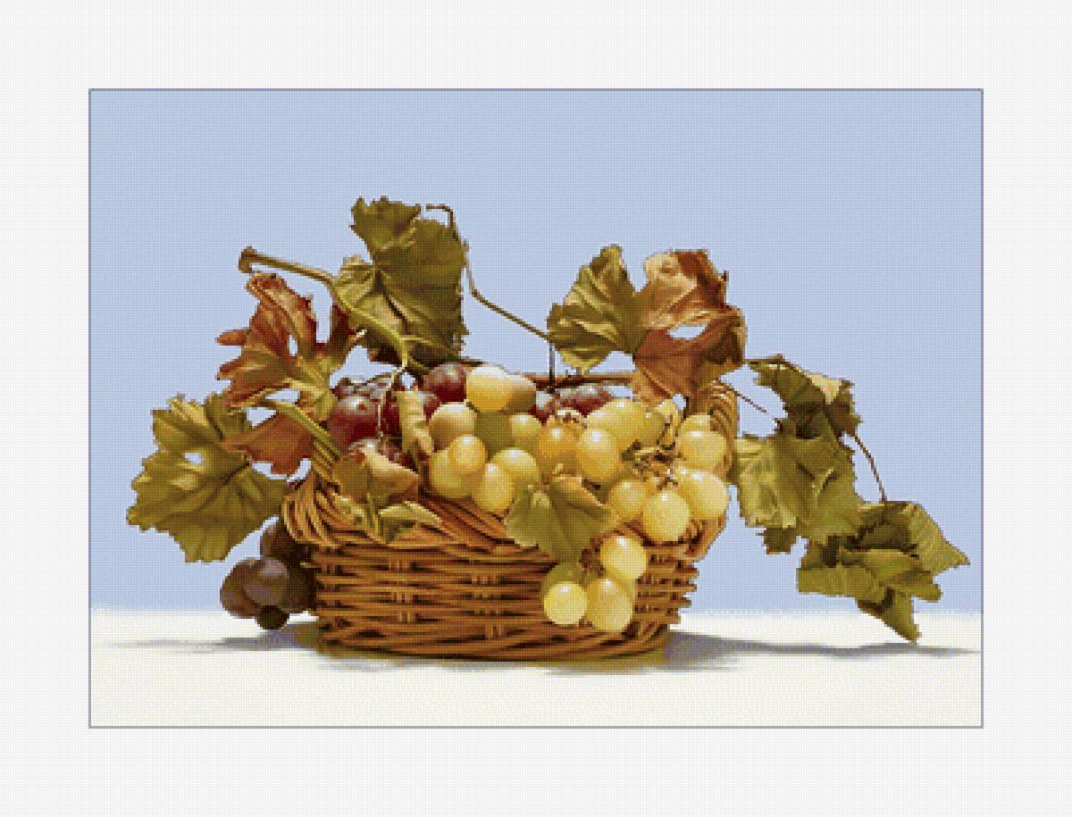 Виноград. - ягоды, виноград - предпросмотр