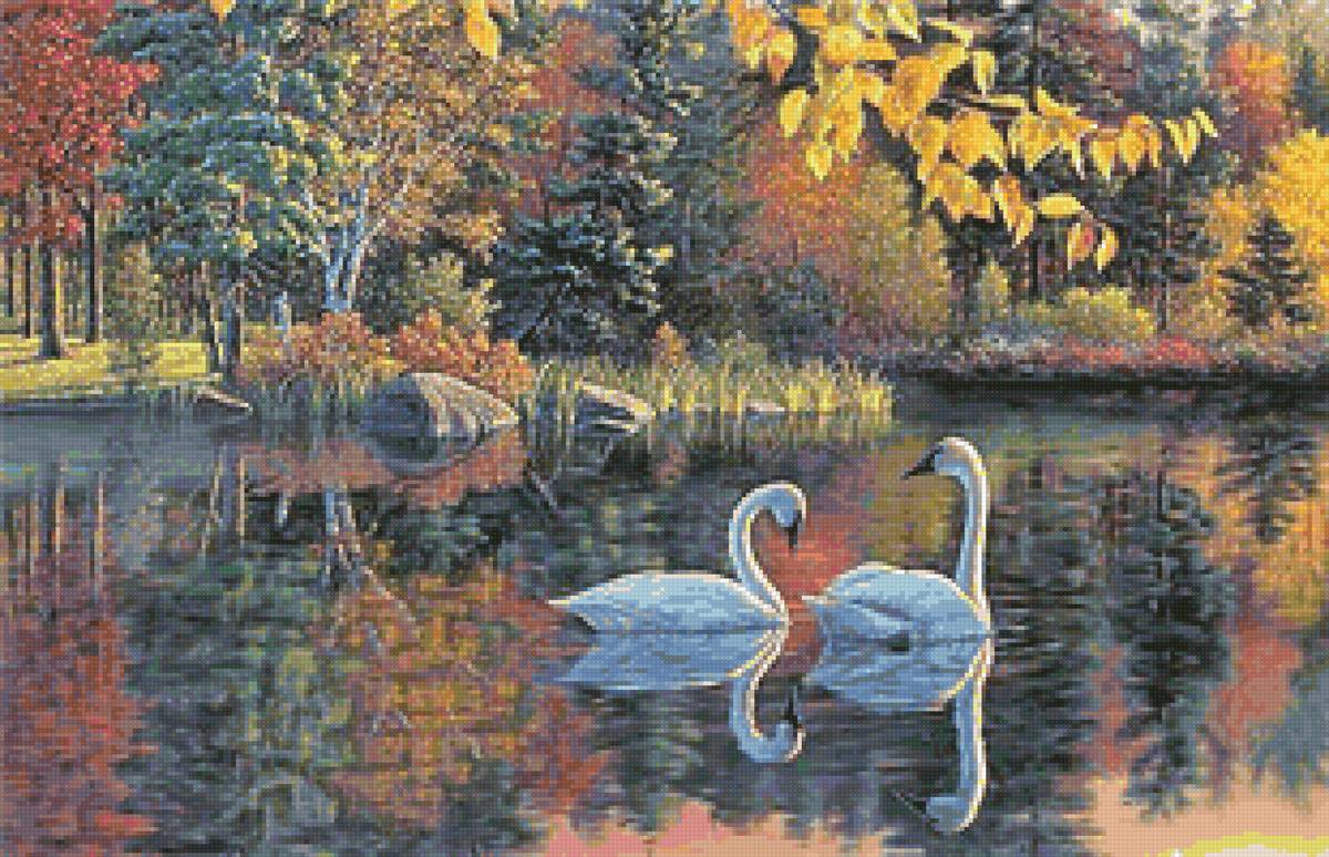 Худ. Ким Норлиен - пейзаж, лебеди, птицы, озеро, осень - предпросмотр