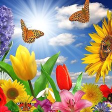 Схема вышивки «№2060414»