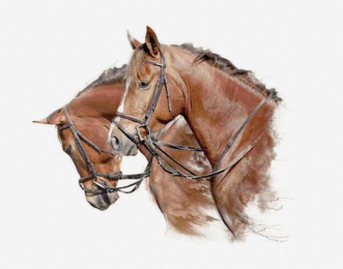 Пара гнедых - животные, лошади - предпросмотр