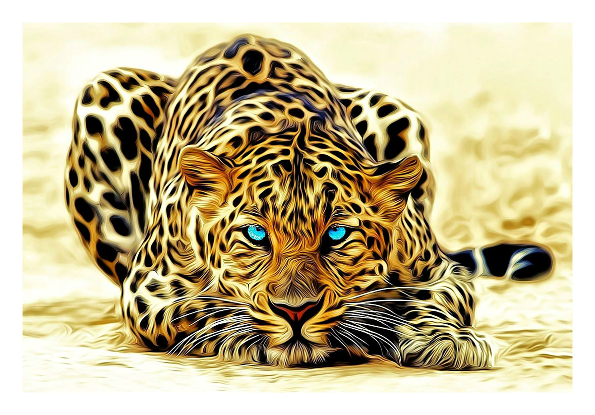 Леопард. - леопард, хищник, взгляд, животные - оригинал