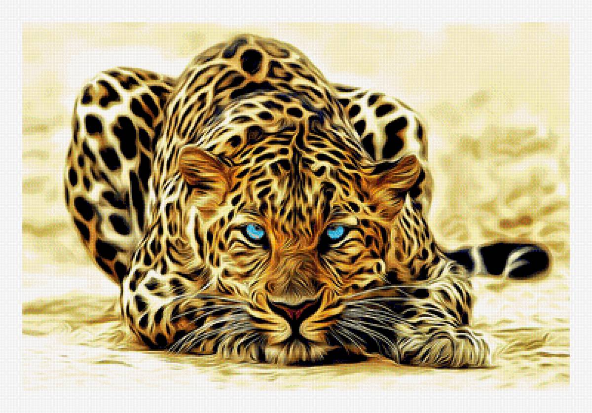 Леопард. - взгляд, животные, хищник, леопард - предпросмотр