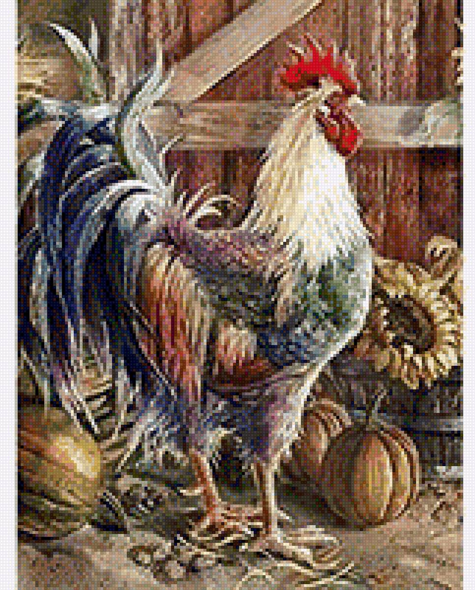 Петух и гарбузы - картинка, петух, птица. гарбуз, сарай - предпросмотр