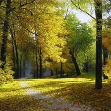 Схема вышивки «пейзаж»