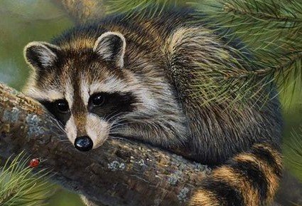 дикие - оригинал