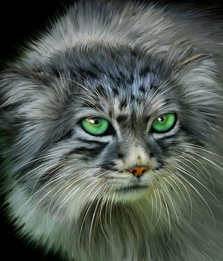 дикие - оригинал