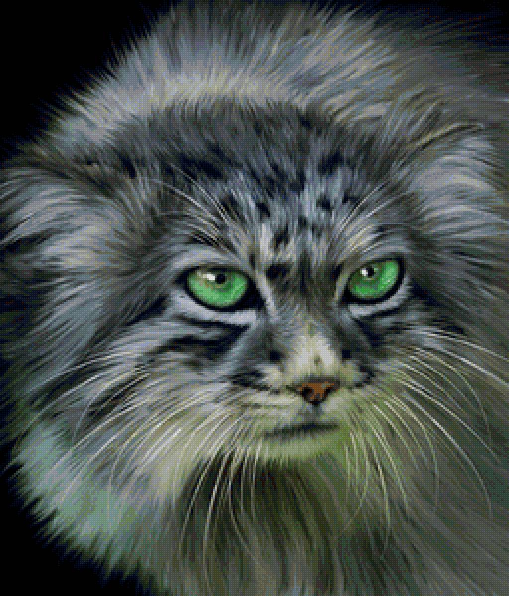 дикие - предпросмотр