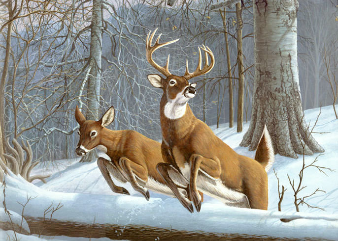 №2061118 - олени, лес, снег, зима - оригинал