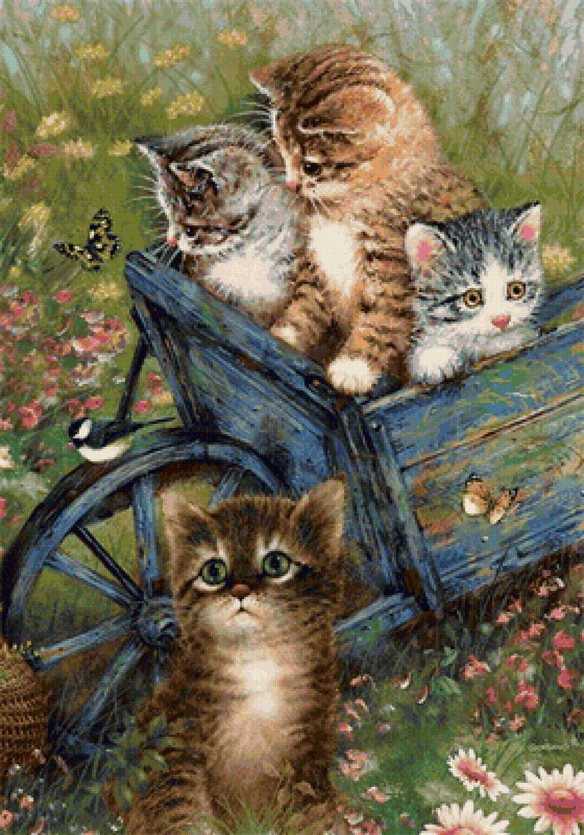 котята - котята, природа, цветы, лето, бабочки - предпросмотр