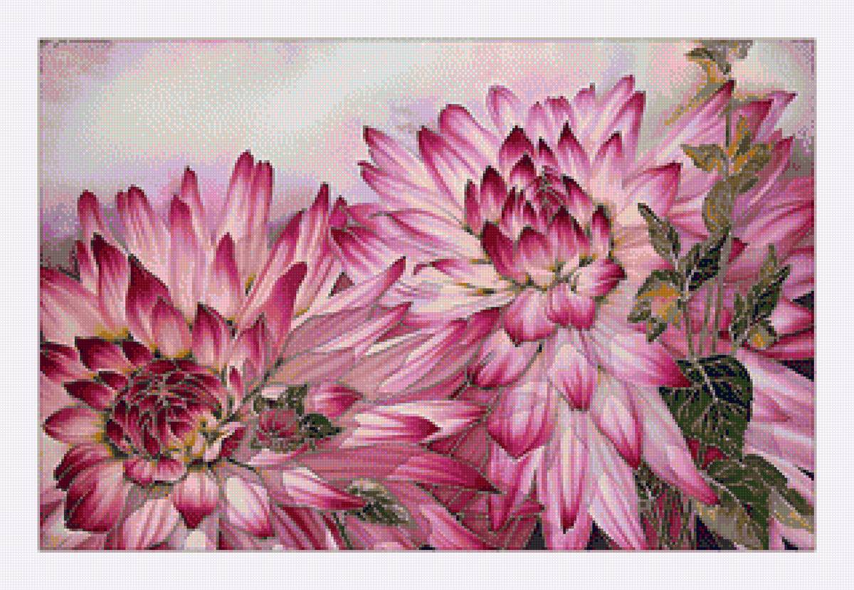 георцины в соку - предпросмотр