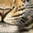 Предпросмотр схемы вышивки «Леопард.» (№2061493)