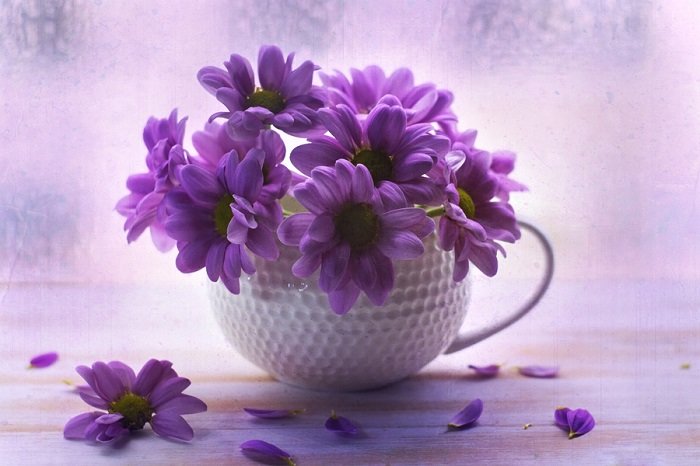 натюрморт - оригинал