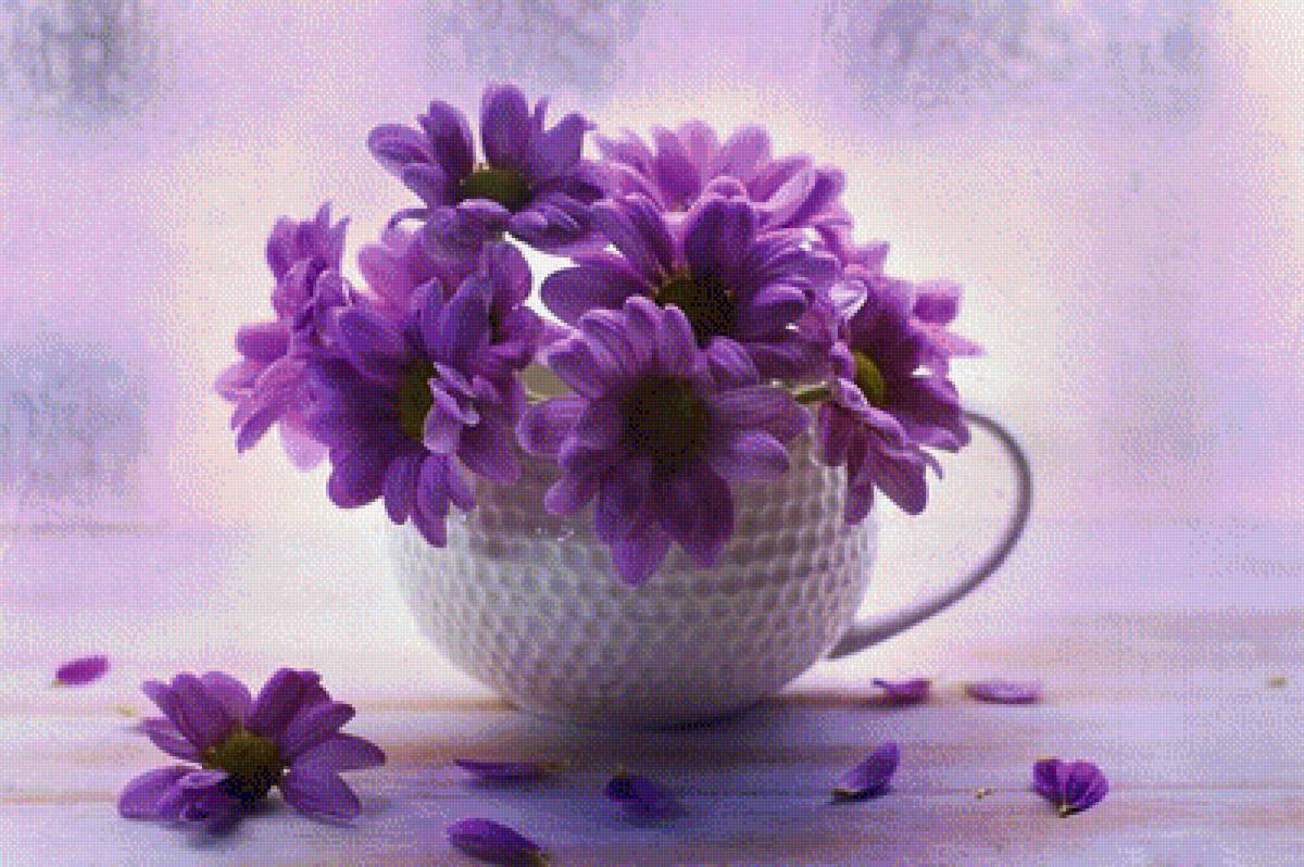 натюрморт - предпросмотр