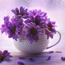 Схема вышивки «натюрморт»