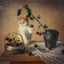 Схема вышивки «натюрморт»