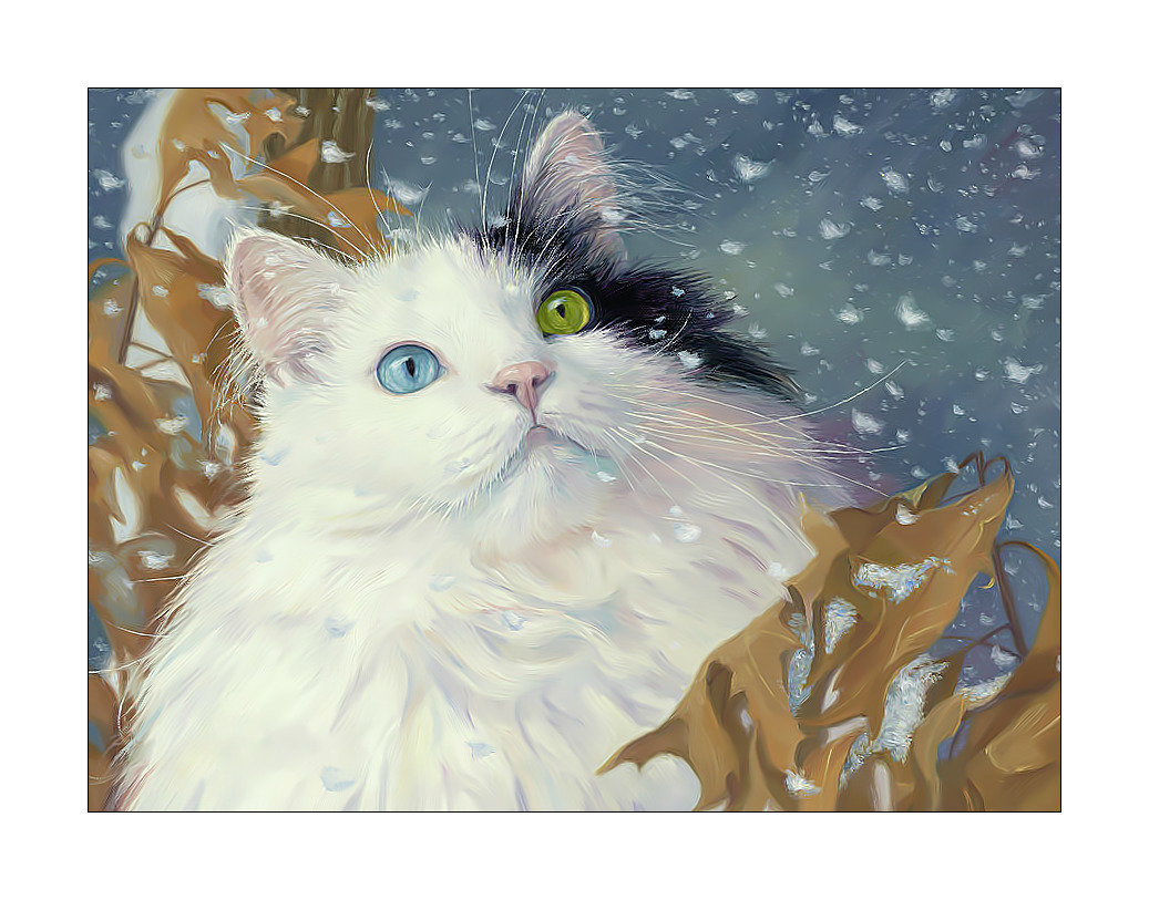 Котик. - снег, кошка, живопись, животные, кот - оригинал
