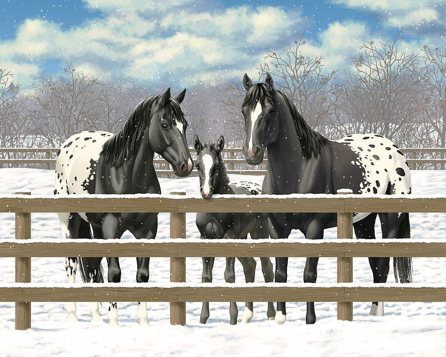 Пёстрые - лошади, жеребенок, зима, кони - оригинал