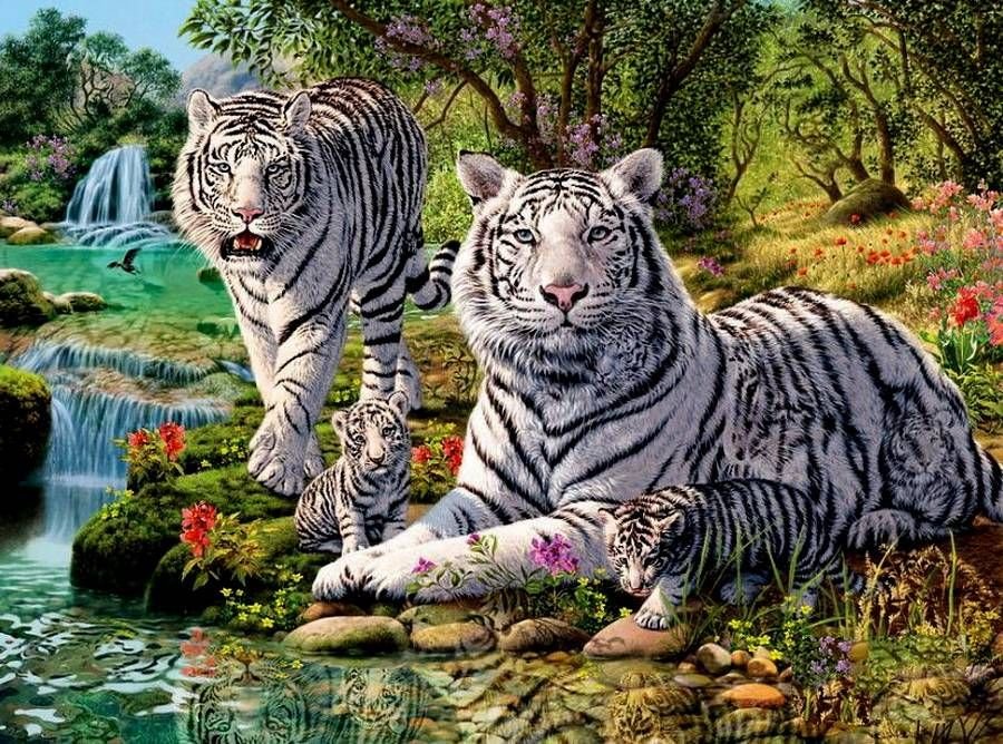 белые тигры - белые, звери, природа, тигры - оригинал