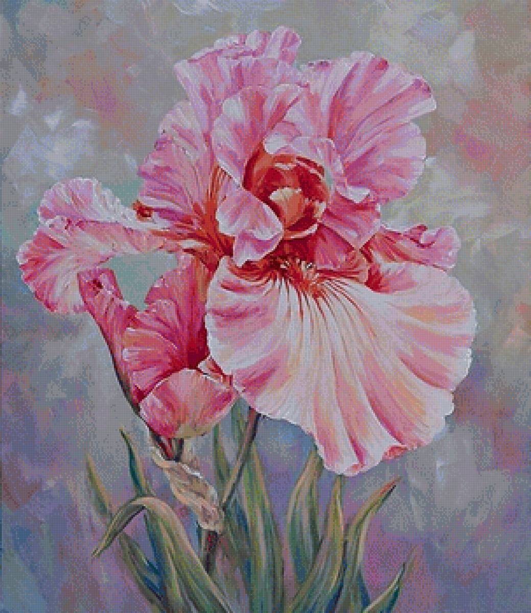 цветы - предпросмотр