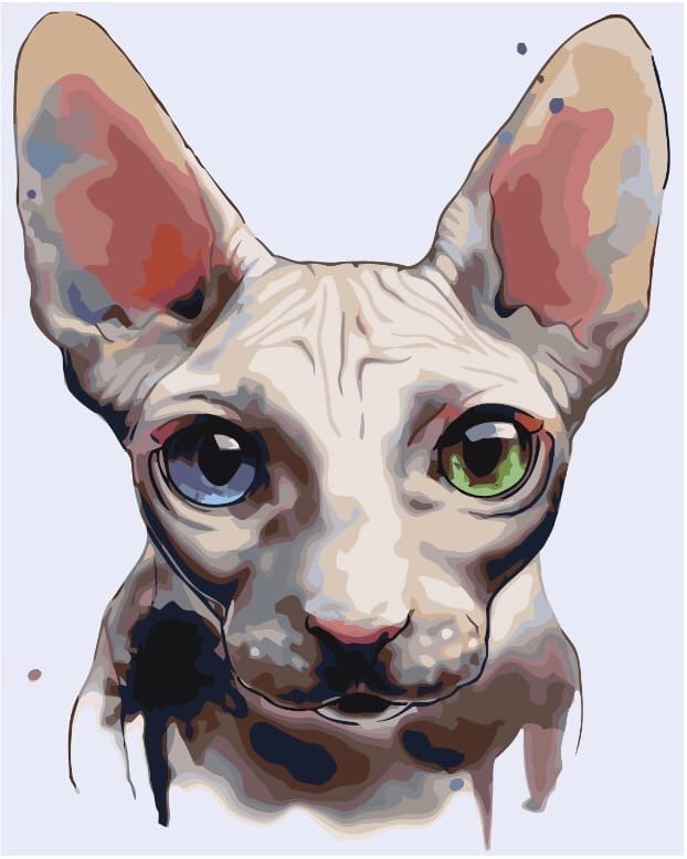 сфинкс - киска, кошка, глазки, сфинкс, кот - оригинал