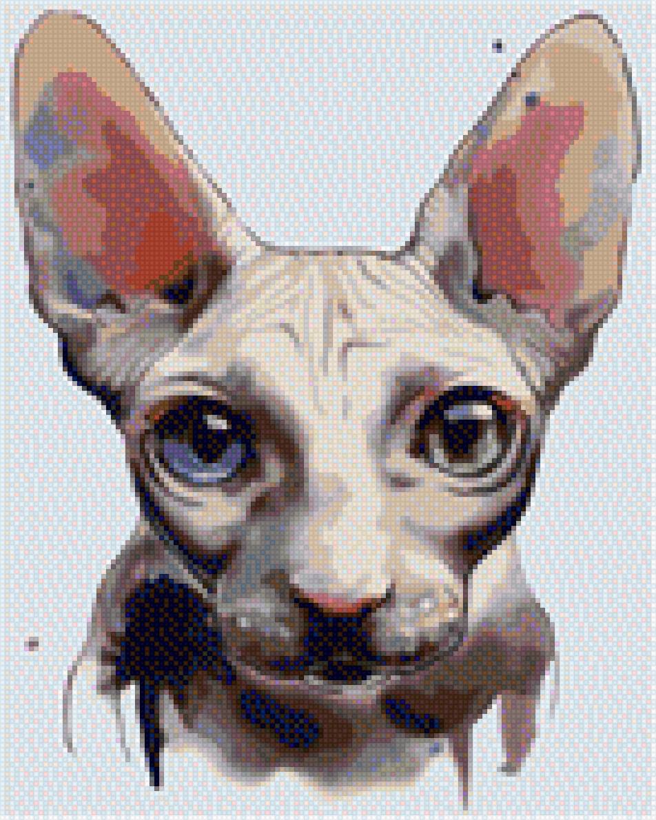 сфинкс - киска, кошка, сфинкс, кот, глазки - предпросмотр