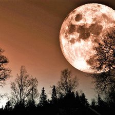 Схема вышивки «№2062624»