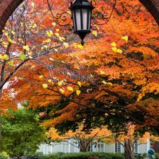 Схема вышивки «№2062729»