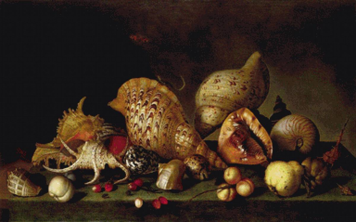 ракушки2 - море, натюрморт, картина, классика - предпросмотр